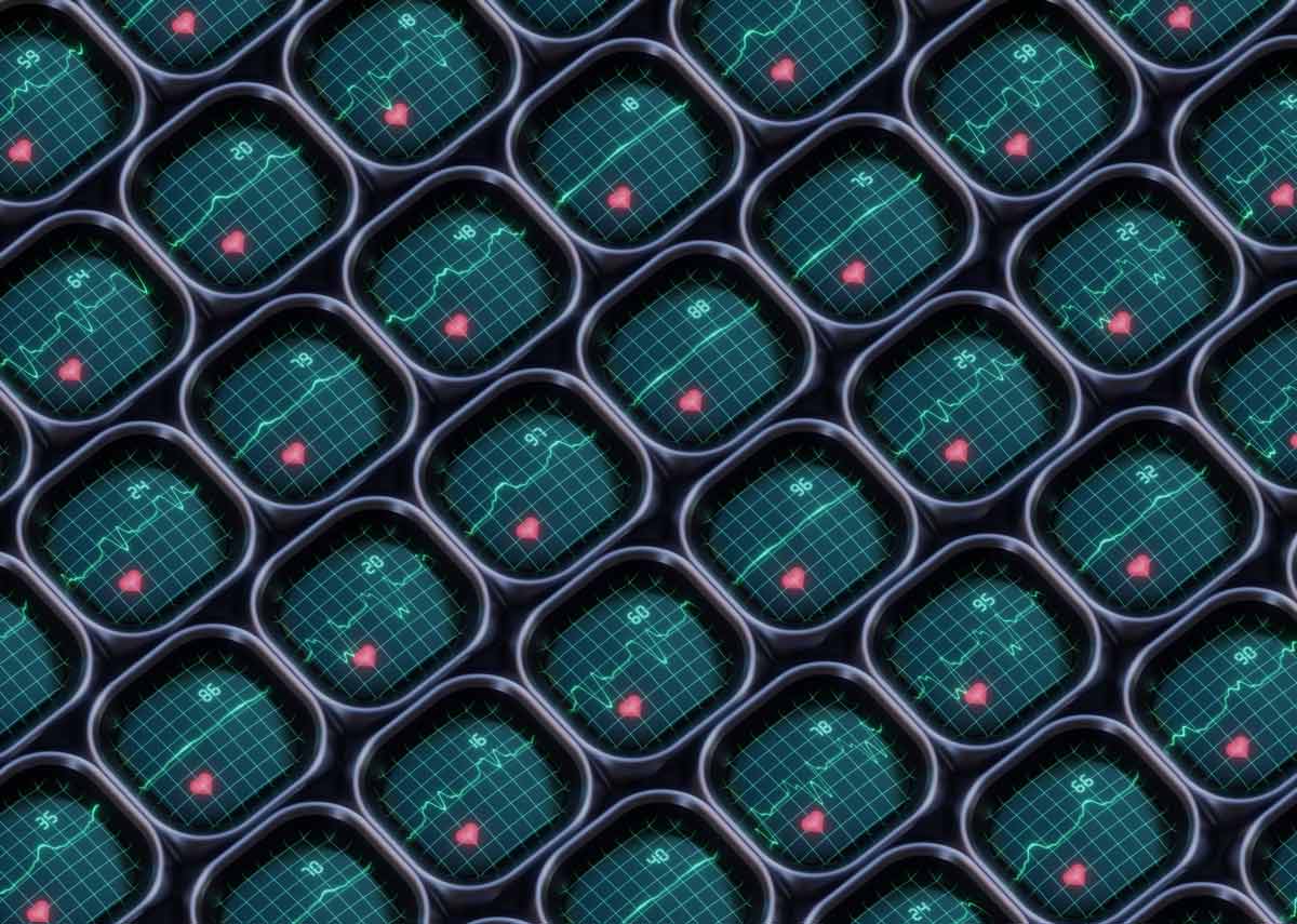 mingwei-lim-QxGSSfatjRs-unsplash